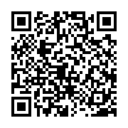 QR code for 6107313