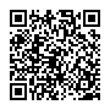 QR code for 6132062