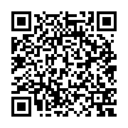 QR code for 6202338