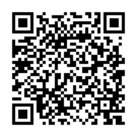 QR code for 6203831