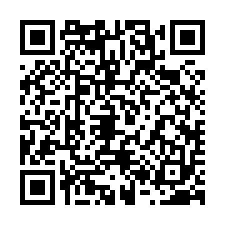 QR code for 6228137