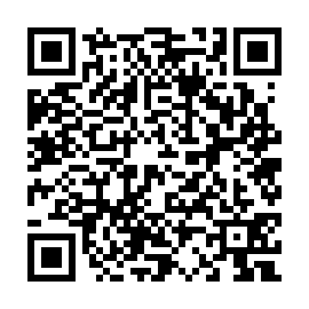 QR code for 6273317