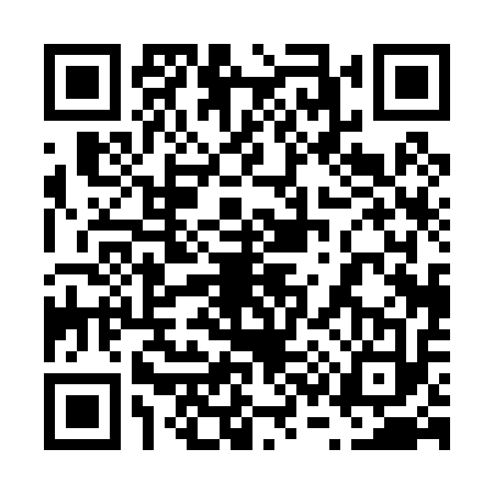 QR code for 6300138