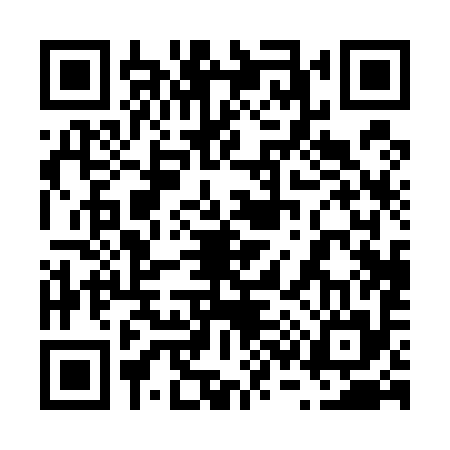 QR code for 630595P
