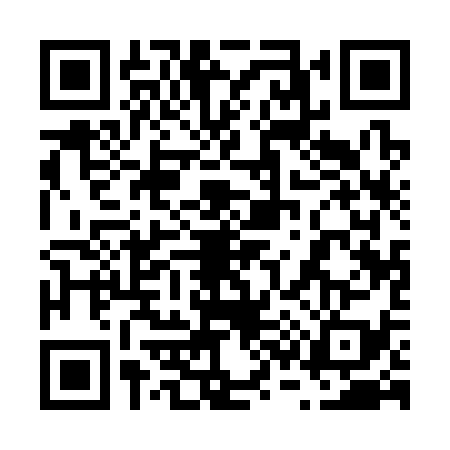 QR code for 6313394
