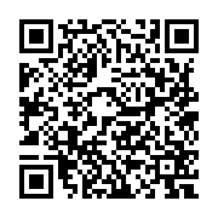 QR code for 6339663