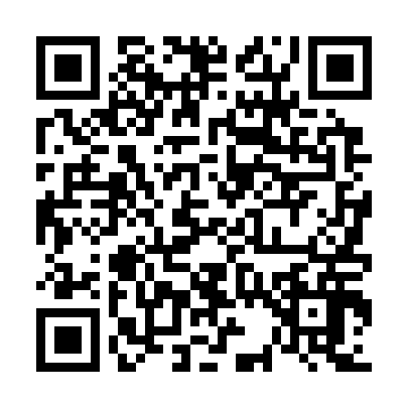 QR code for 6343161