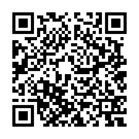 QR code for 6374331