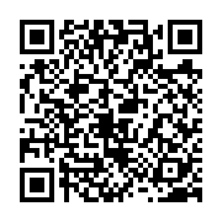 QR code for 6376281