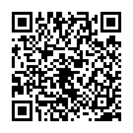 QR code for 6376538