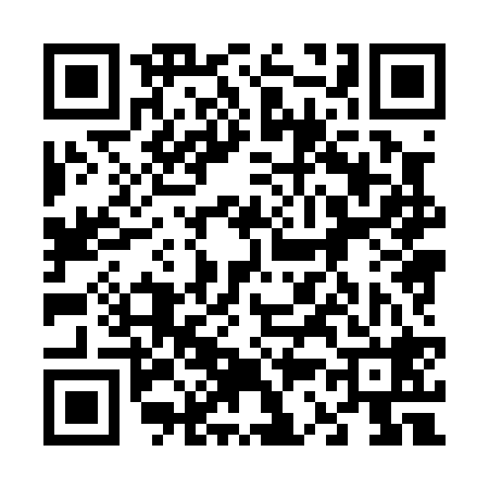 QR code for 638028Q
