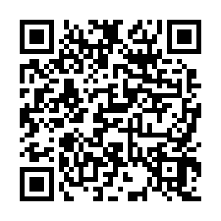 QR code for 6382425