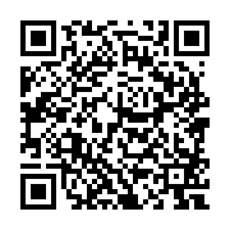 QR code for 6382834