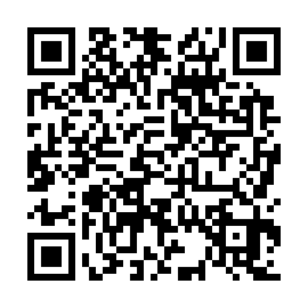 QR code for 638331Y