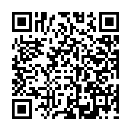 QR code for 6383324