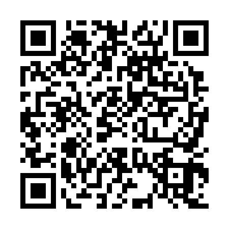 QR code for 6383413