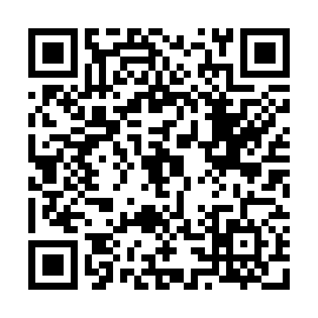 QR code for 6383743