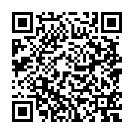 QR code for 638410H