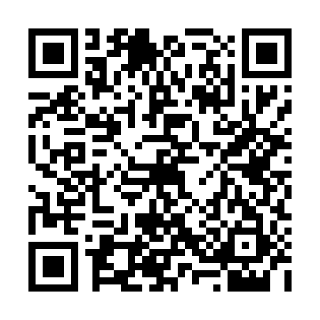 QR code for 638493Z
