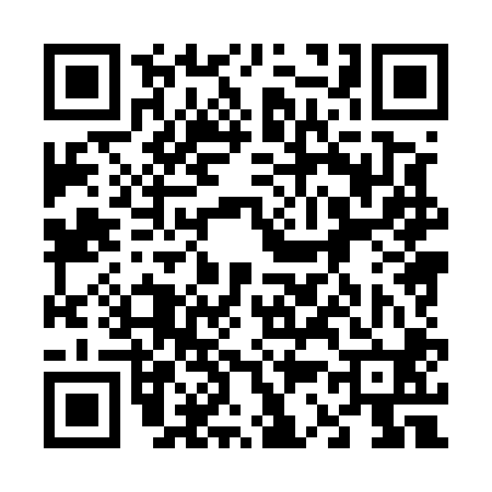 QR code for 638500U