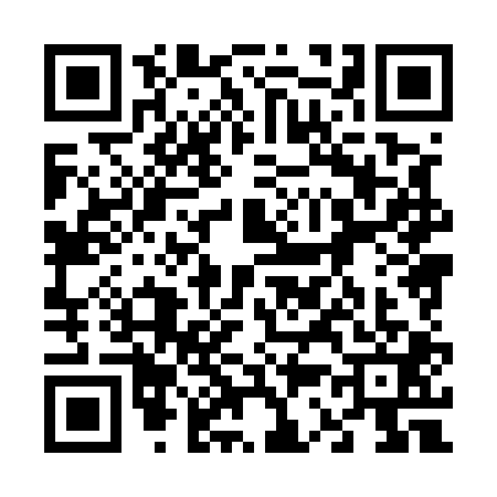 QR code for 6385011