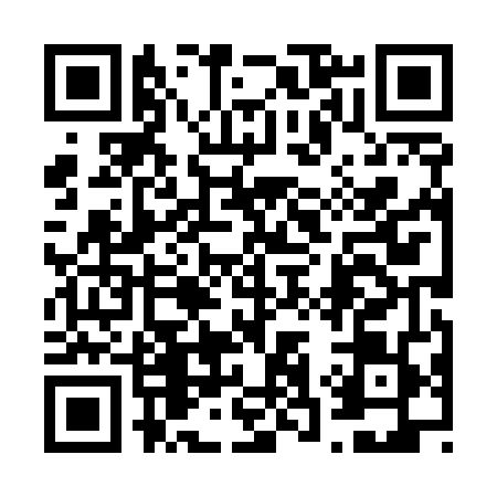 QR code for 6385491