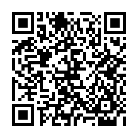 QR code for 638647P