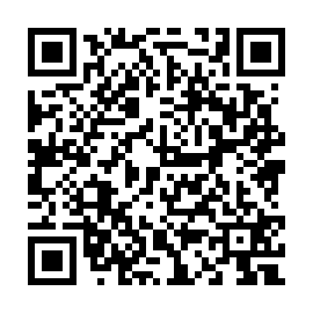 QR code for 6387217
