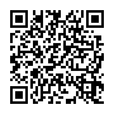 QR code for 6387337