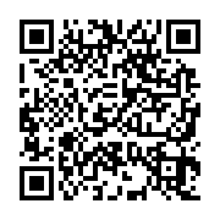 QR code for 6393318