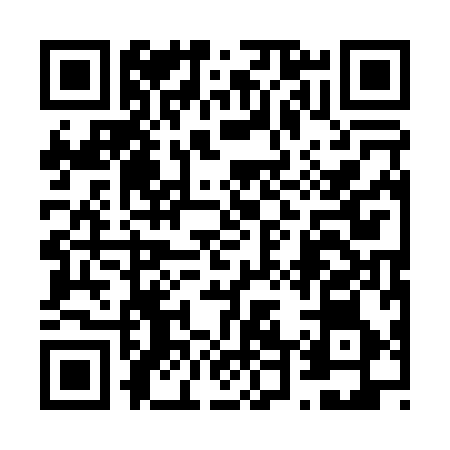 QR code for 641096Y