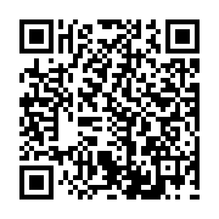 QR code for 641366Y