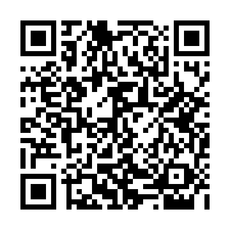 QR code for 641778P