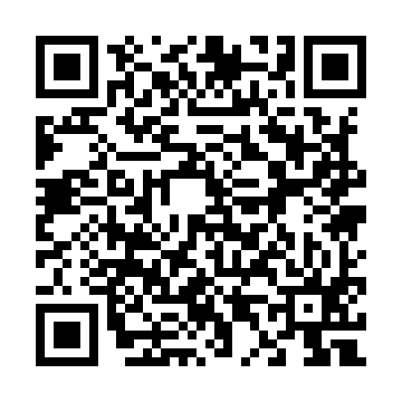 QR code for 641995Y
