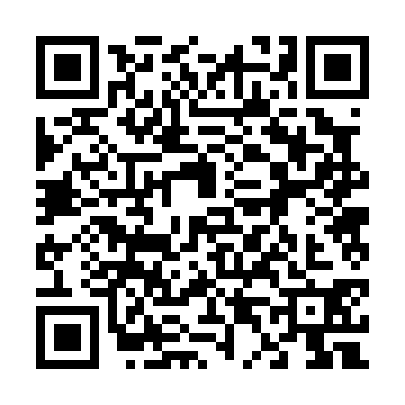QR code for 6420303