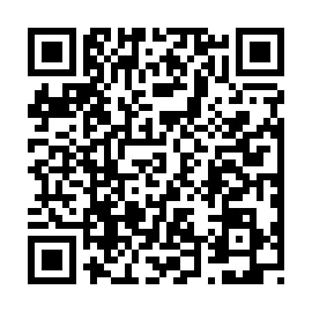 QR code for 6421381