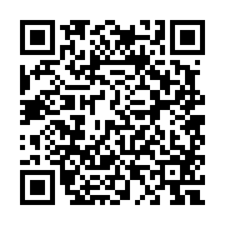 QR code for 6424861
