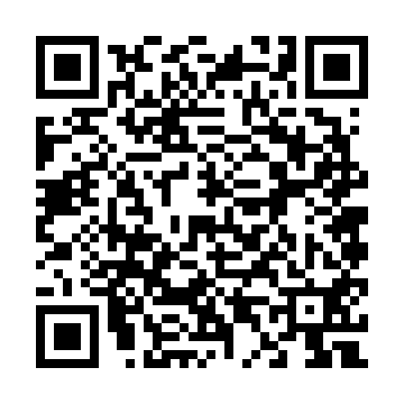QR code for 646650X