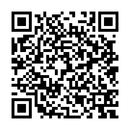 QR code for 6500339