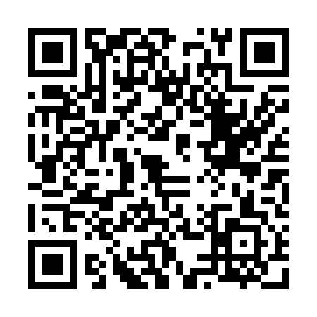 QR code for 650243X