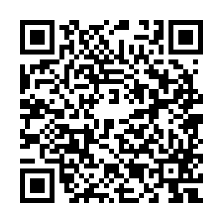 QR code for 650287X