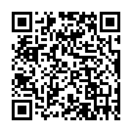 QR code for 650336P