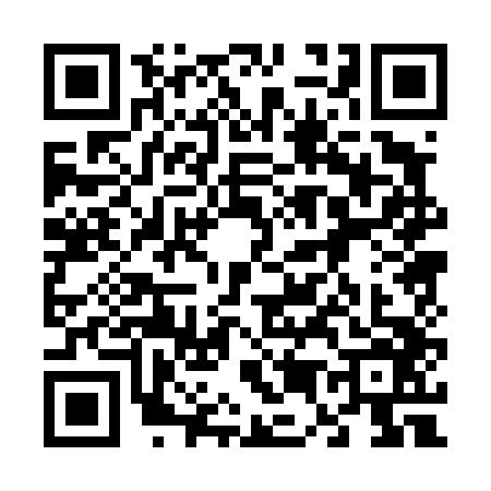 QR code for 6504463