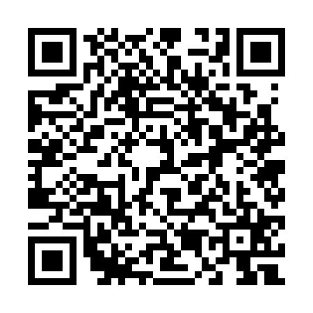 QR code for 6573251