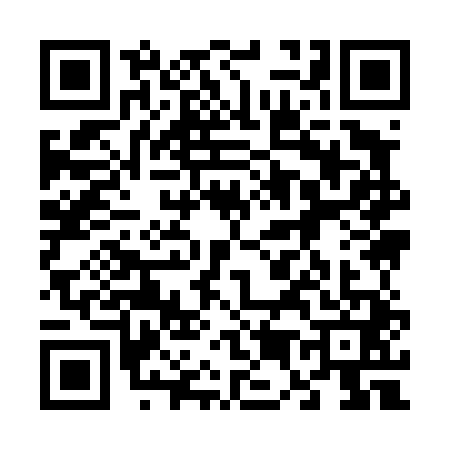 QR code for 6594413