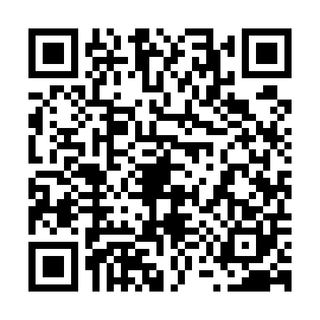 QR code for 6595002