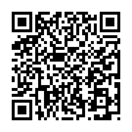 QR code for 6600389