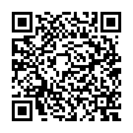 QR code for 6636161
