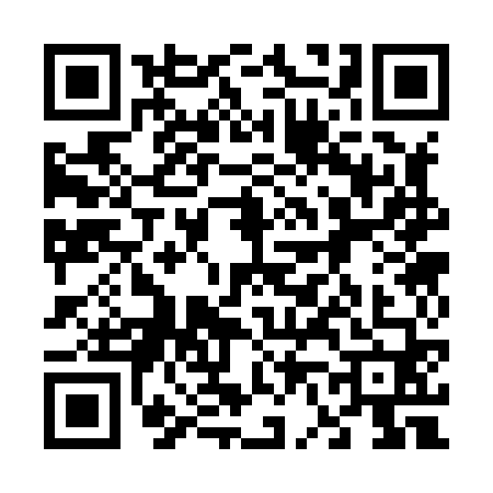 QR code for 6638604