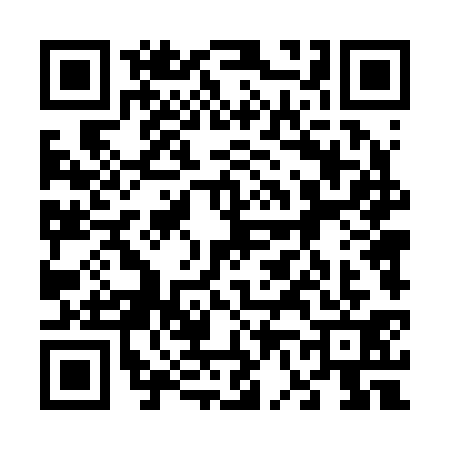 QR code for 6642311